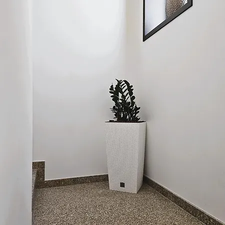 Appartement Casa Do Moinho Cabeceiras de Basto