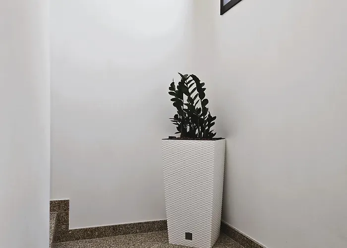 Apartment Casa Do Moinho Cabeceiras de Basto